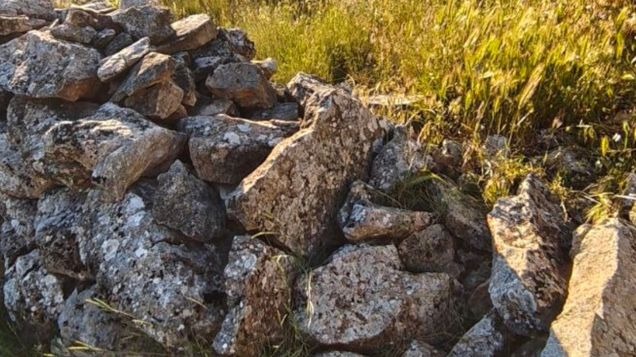 Las Cercas de piedra